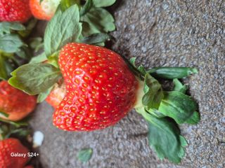 안성화님의 자유주제 · 자유게시판 작성글 사진