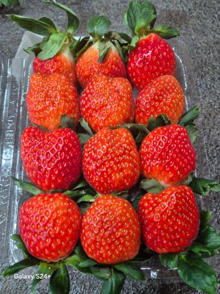 안성화님의 자유주제 · 자유게시판 작성글 사진