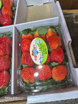 안성화님의 자유주제 · 자유게시판 작성글 사진