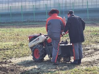 진문거사님의 자유주제 · 자유게시판 작성글 사진