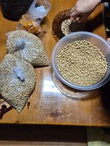 팜모닝 콩·영농일지 게시글 이미지