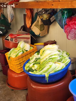 이창우님의 우리집 김장 자랑하기 · 참여글 작성글 사진