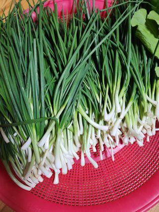 이창우님의 우리집 김장 자랑하기 · 참여글 작성글 사진