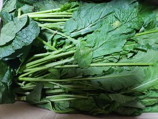 이창우님의 우리집 김장 자랑하기 · 참여글 작성글 사진