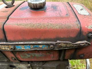 토끼풀님의 자유주제 · 자유게시판 작성글 사진