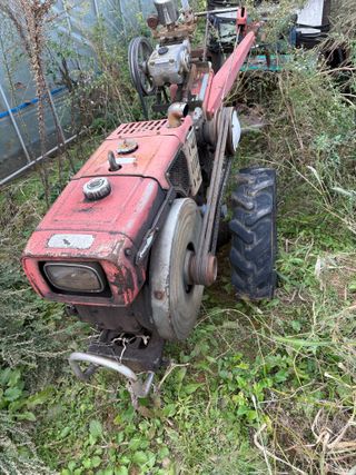 토끼풀님의 자유주제 · 자유게시판 작성글 사진