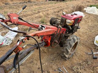 토끼풀님의 자유주제 · 자유게시판 작성글 사진