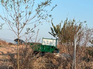 토끼풀님의 자유주제 · 자유게시판 작성글 사진