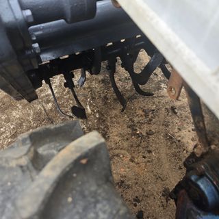 김문규님의 작성글 사진