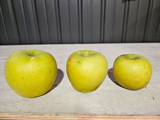 하늘아래사과나무님의 작성글 사진