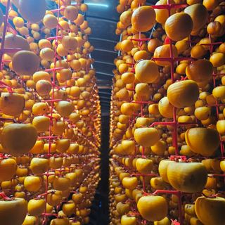 백용기님의 자유주제 · 자유게시판 작성글 사진