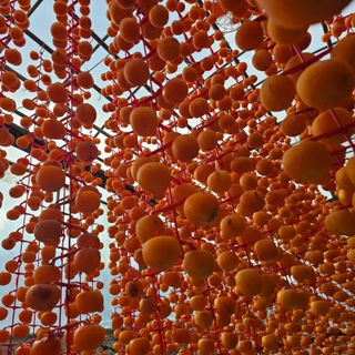 백용기님의 자유주제 · 자유게시판 작성글 사진