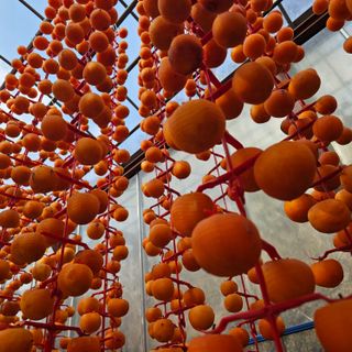 백용기님의 자유주제 · 자유게시판 작성글 사진