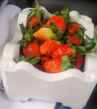 정정근님의 딸기 · 영농일지 작성글 사진