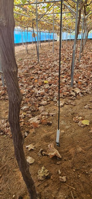 ♡ 예린농원 농장님의 자유주제 · 자유게시판 작성글 사진