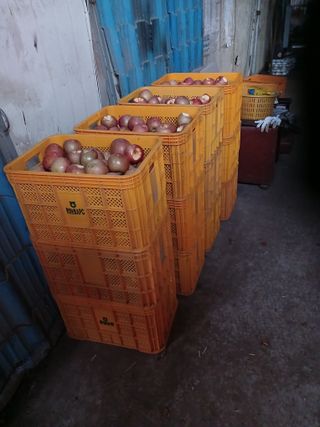 알 수 없음님의 자유주제 · 자유게시판 작성글 사진