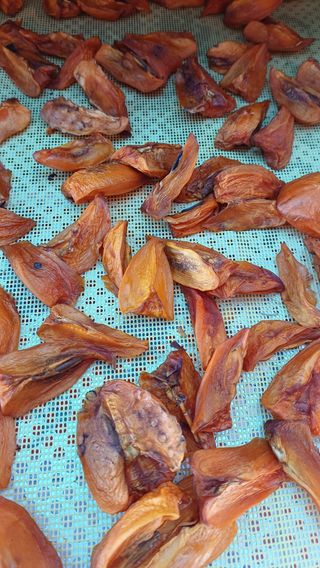 산골촌부님의 자유주제 · 자유게시판 작성글 사진