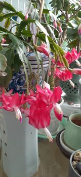 팜모닝 자유주제·사진전 게시글 이미지