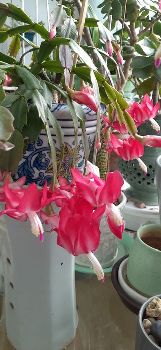 옥수수108701님의 자유주제 · 사진전 작성글 사진