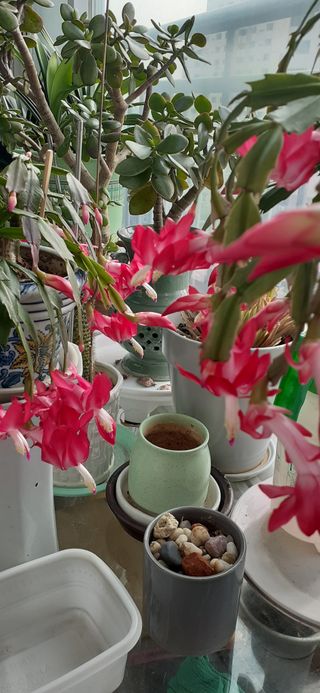 옥수수108701님의 자유주제 · 사진전 작성글 사진