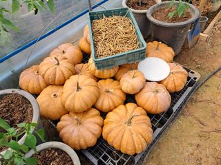 백종구님의 자유주제 · 자유게시판 작성글 사진