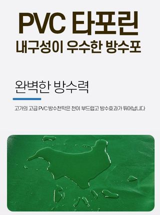 다이쏘(권자영)님의 작성글 사진