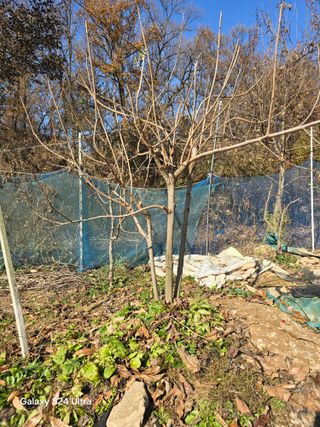 소병찬님의 농사, 무엇이든 물어보세요! · 참여글 작성글 사진