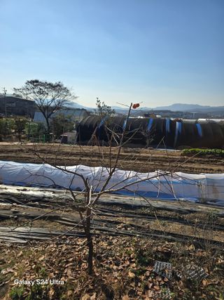 소병찬님의 농사, 무엇이든 물어보세요! · 참여글 작성글 사진