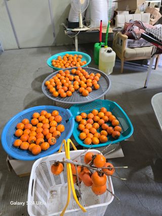 소병찬님의 농사, 무엇이든 물어보세요! · 참여글 작성글 사진