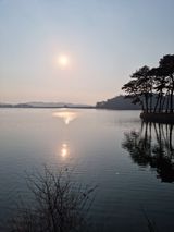 팜모닝 팜모닝·출석 게시글 이미지