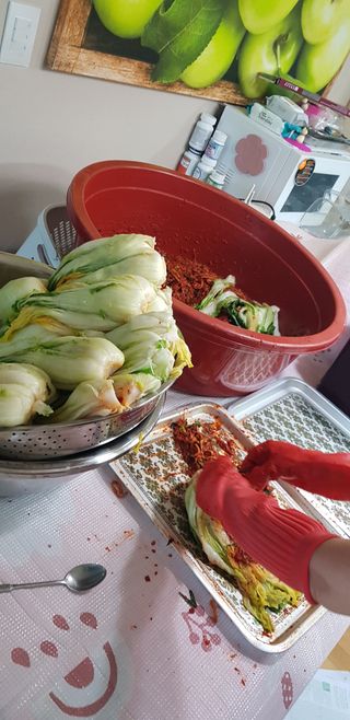 수원농군님의 자유주제 · 자유게시판 작성글 사진