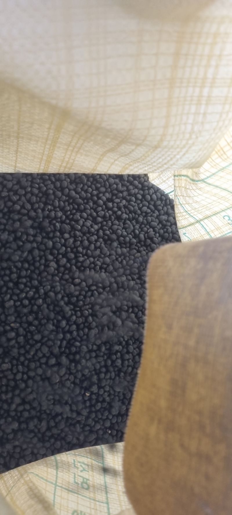 박사원농장님의 장터 판매 상품 [쥐눈이콩(약콩) 2kg] 첨부 사진