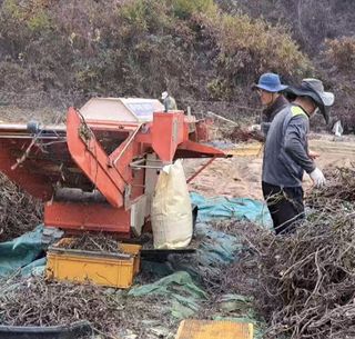 박사원농장님의 작성글 사진