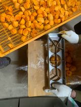 팜모닝 감·영농일지 게시글 이미지