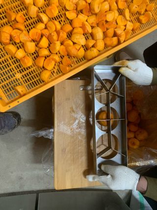 조용욱 용강농원님의 감 · 영농일지 작성글 사진