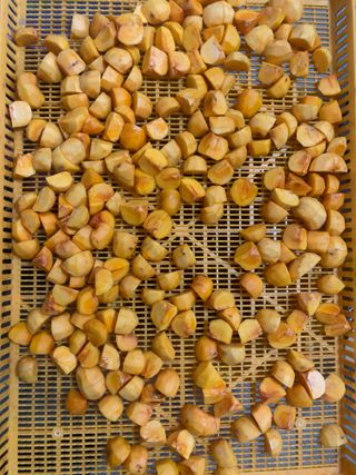 조용욱 용강농원님의 감 · 영농일지 작성글 사진