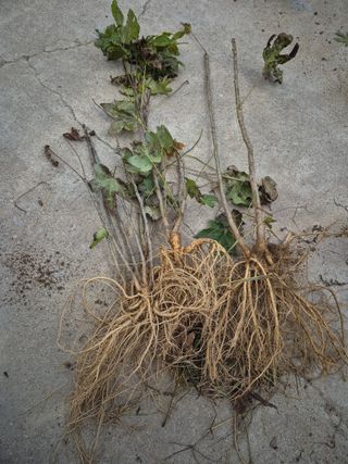 물방개(송인국)님의 자유주제 · 자유게시판 작성글 사진