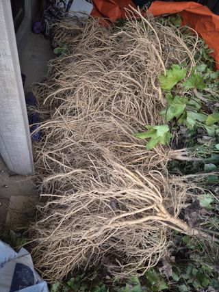 물방개(송인국)님의 자유주제 · 자유게시판 작성글 사진