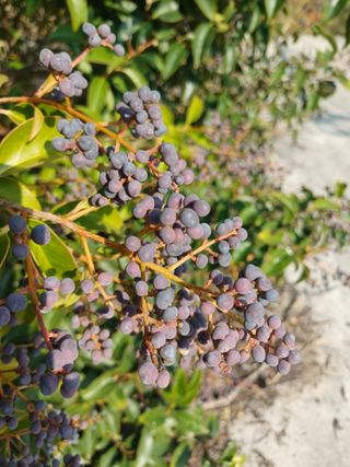 유영옥님의 자유주제 · 자유게시판 작성글 사진