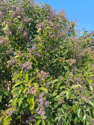 유영옥님의 자유주제 · 자유게시판 작성글 사진