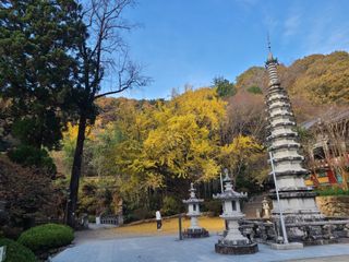 노고단님의 자유주제 · 자유게시판 작성글 사진