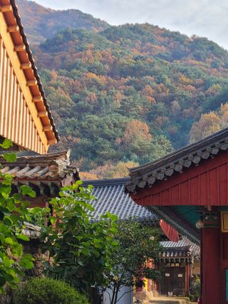 노고단님의 자유주제 · 자유게시판 작성글 사진