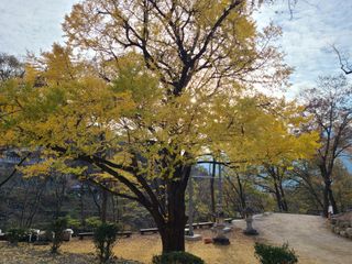 노고단님의 자유주제 · 자유게시판 작성글 사진