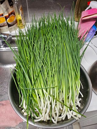 원머루 강낙도님의 우리집 김장 자랑하기 · 참여글 작성글 사진