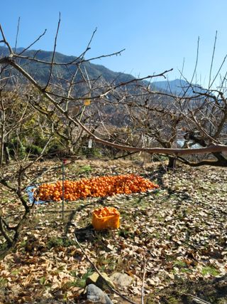 정수산님의 자유주제 · 자유게시판 작성글 사진