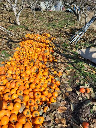 정수산님의 자유주제 · 자유게시판 작성글 사진