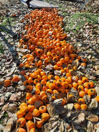 정수산님의 자유주제 · 자유게시판 작성글 사진