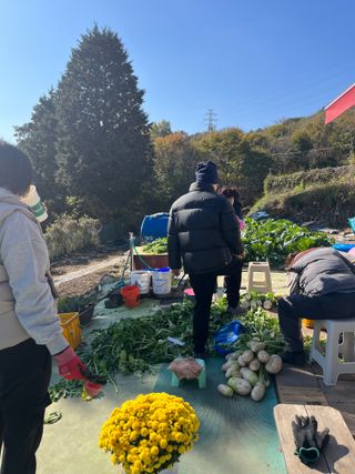 이세순님의 우리집 김장 자랑하기 · 참여글 작성글 사진
