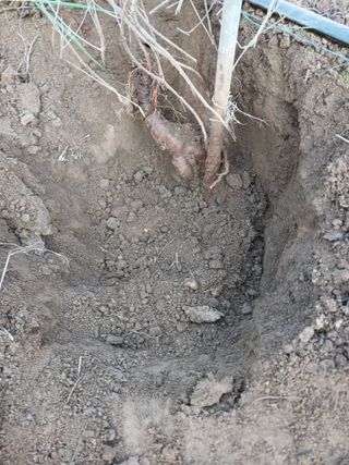 879412님의 우리집 김장 자랑하기 · 참여글 작성글 사진