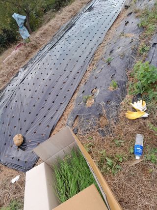 김민수산에서농사중님의 자유주제 · 자유게시판 작성글 사진